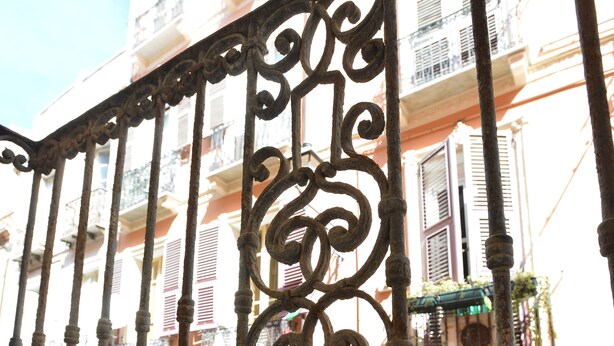 Une balustrade en fer forgé ornée de plantes en pot.