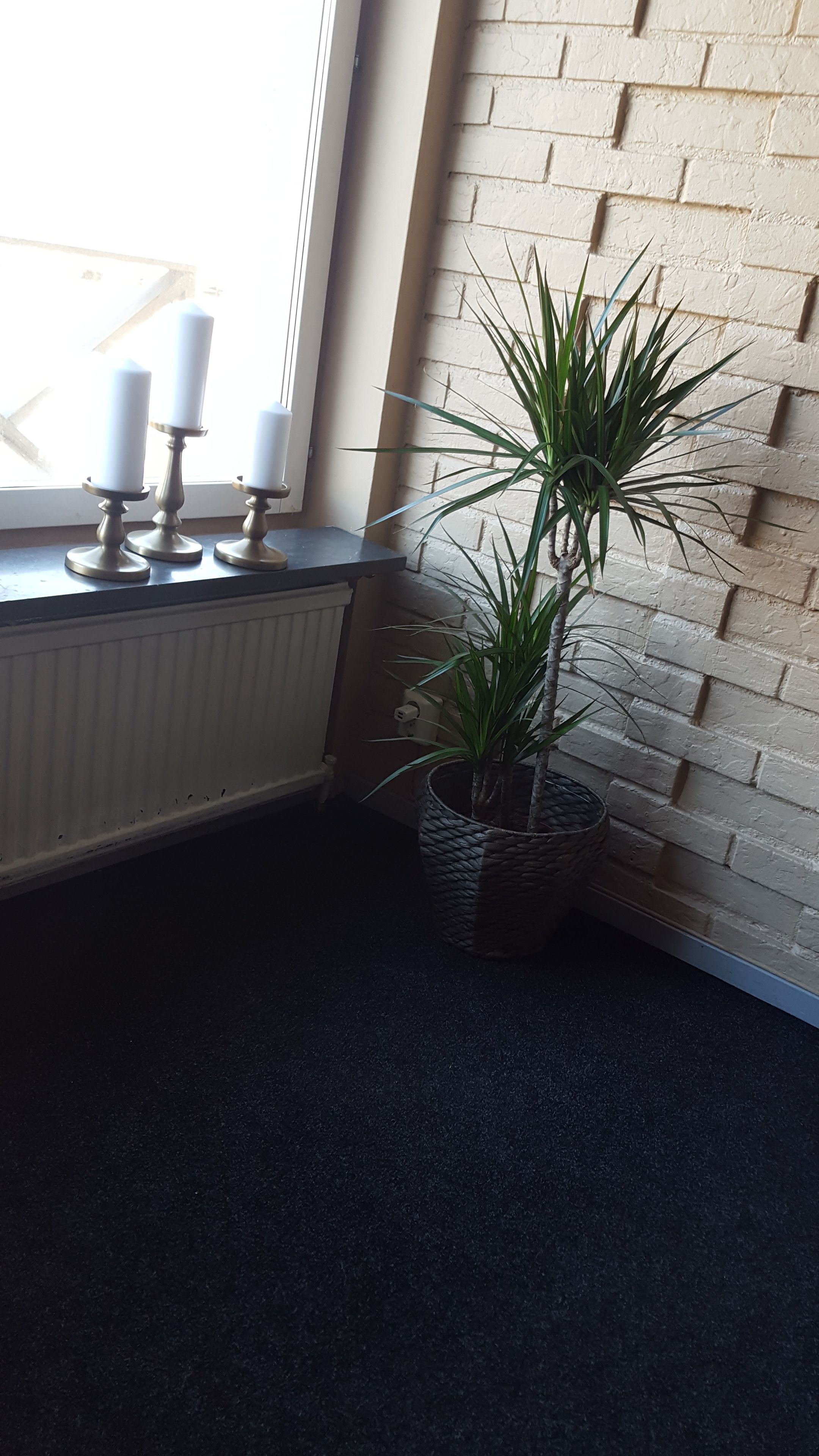 A corner of a room with a radiator, a potted plant, and three candles on a windowsill.