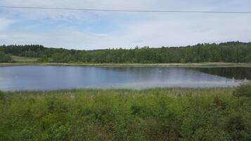 A serene lake surrounded by dense forest and grassy areas.