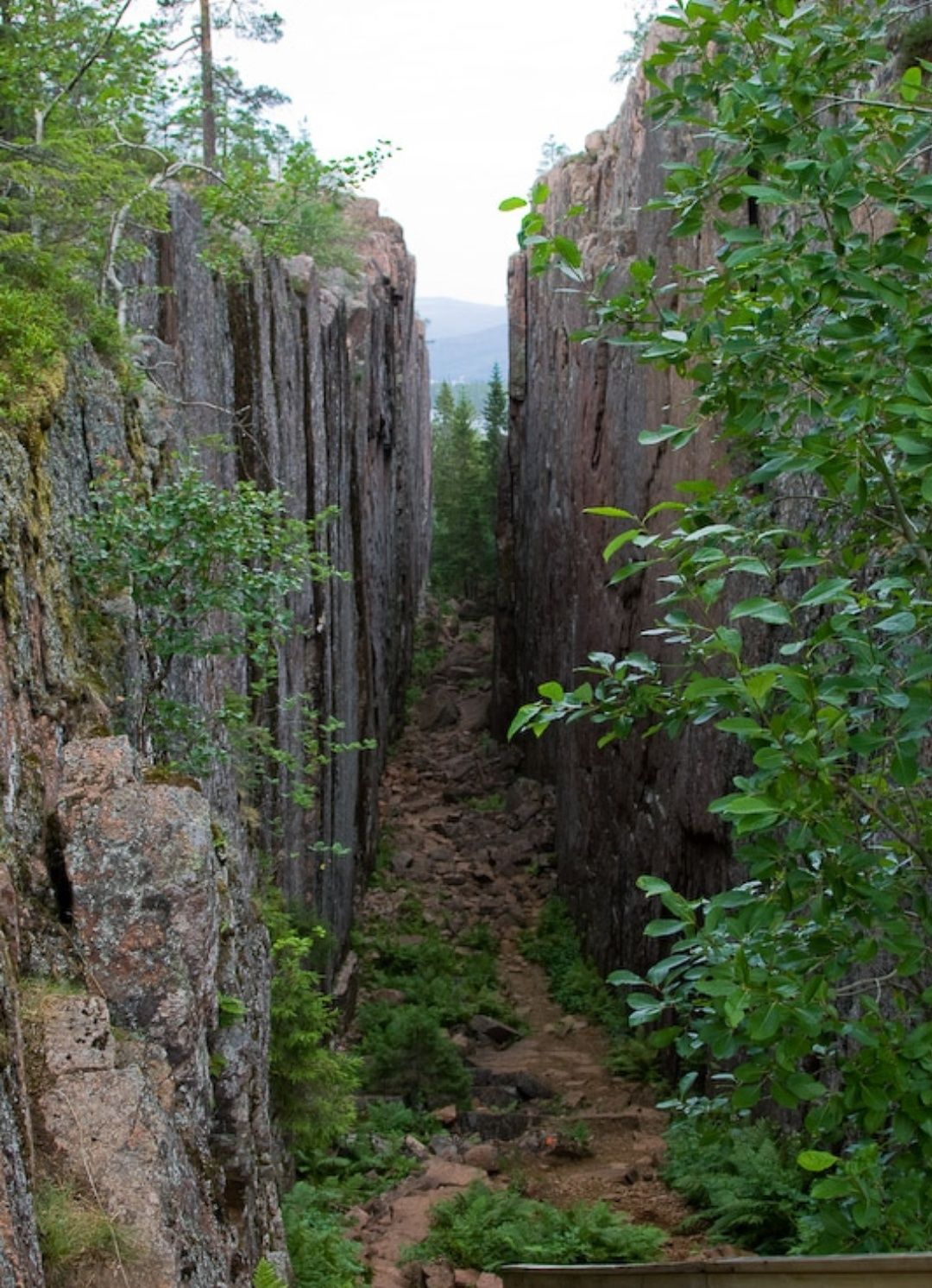 En smal kløft med høje klippevægge og frodig vegetation.