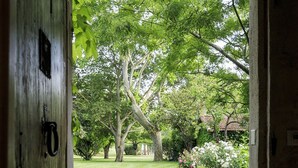 A wooden door leading to a garden with a stone pathway and trees. - Domaine de Rhodes (Avignon)