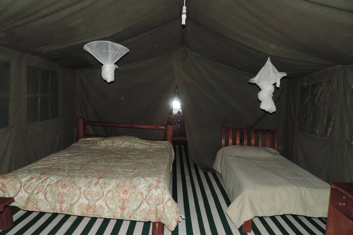 Una habitación con carpa que tiene dos camas, cada una con cabecero de madera, y una lámpara colgante.