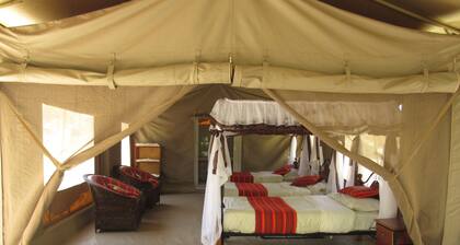 Enchoro Wildlife Camp