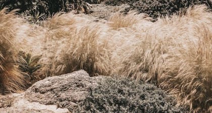 Elia Mykonos Collection