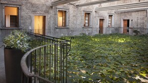 Un patio con cerca de hierro forjado, una planta en maceta y un edificio con múltiples ventanas y puertas.
