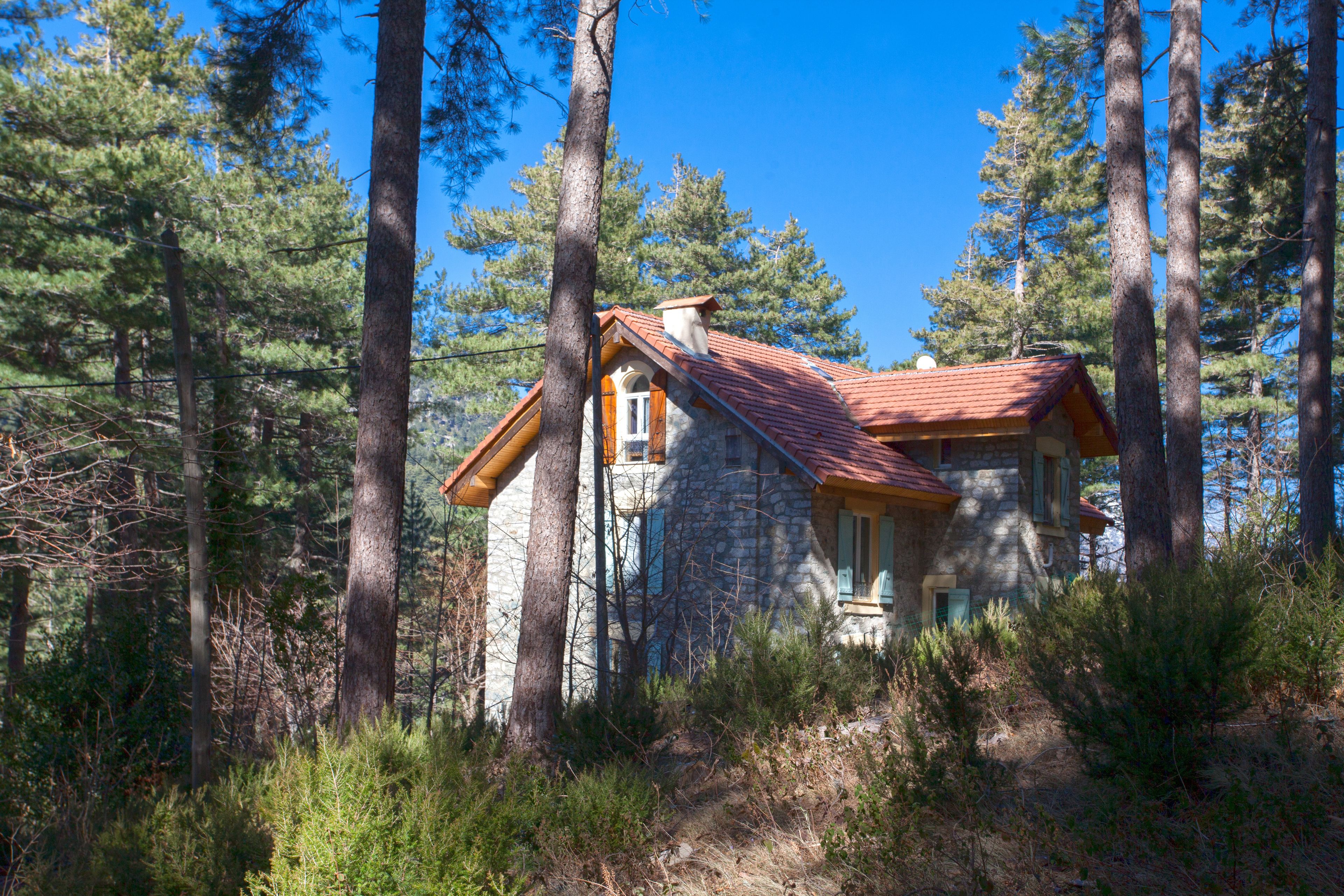 A stone house with a red roof nestled among tall pine trees.