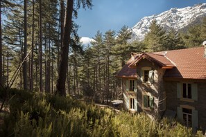 Une maison de campagne en pierre, avec un toit recouvert de tuiles rouges, entourée de grands pins et dominée, au loin, par une montagne enneigée.