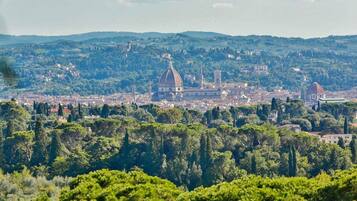 A panoramic view of a city with a prominent dome structure, surrounded by lush greenery and hills.