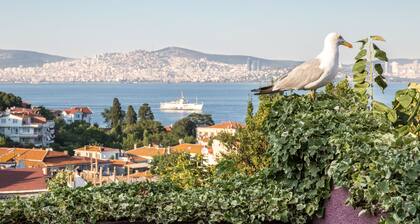 L'isola Guesthouse - Adults Only