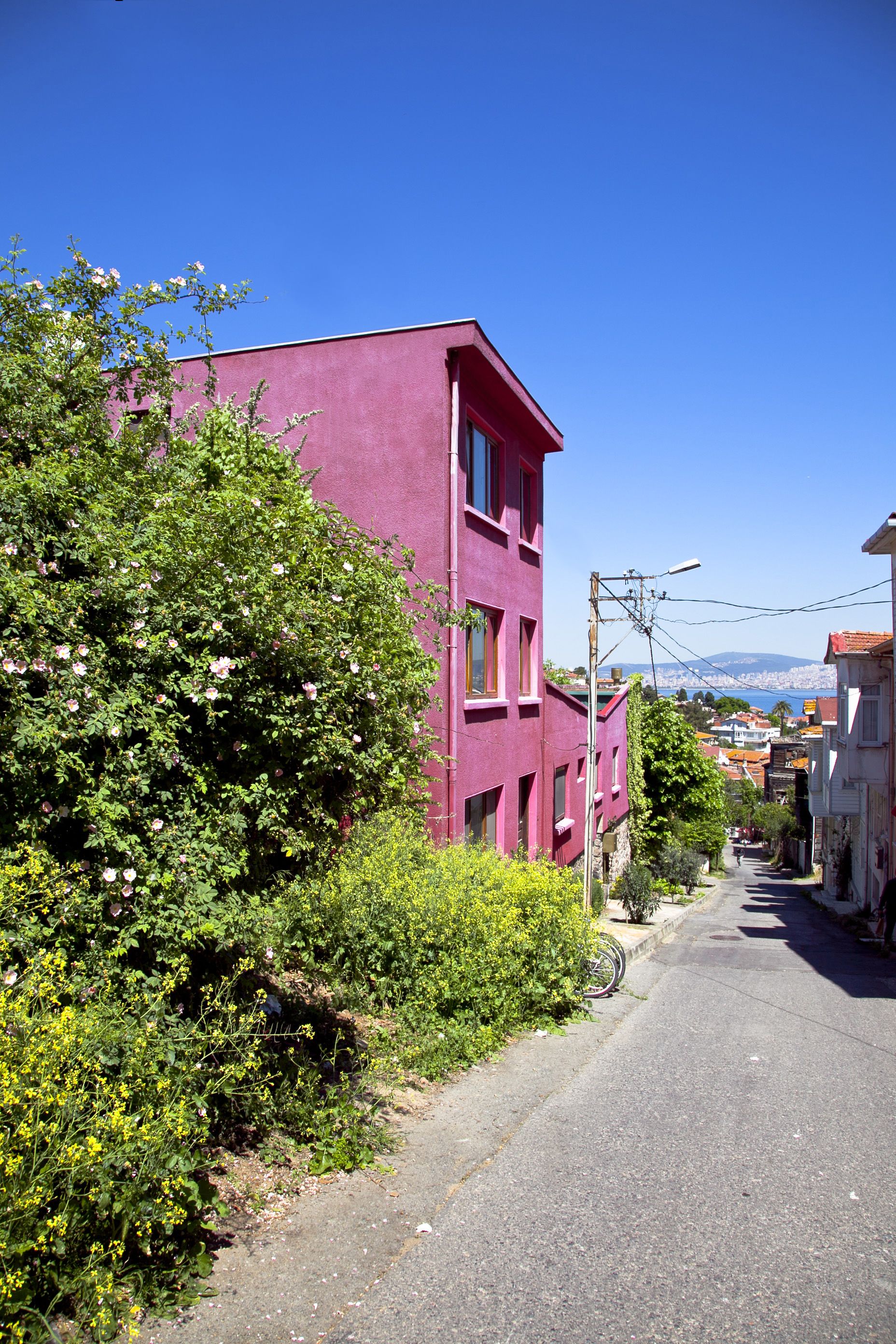 A narrow street with a pink building, greenery, and a clear blue sky.