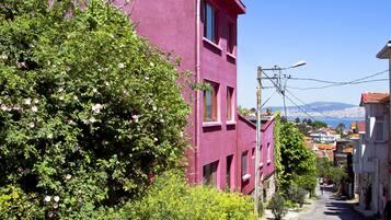 A narrow street with a pink building, greenery, and a clear blue sky.