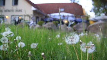 A field of dandelions in front of a building with a red roof.
