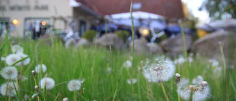 A field of dandelions in front of a building with a red roof.