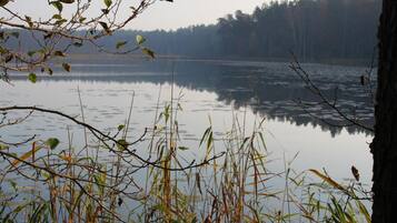 A calm lake with trees in the background and branches in the foreground.