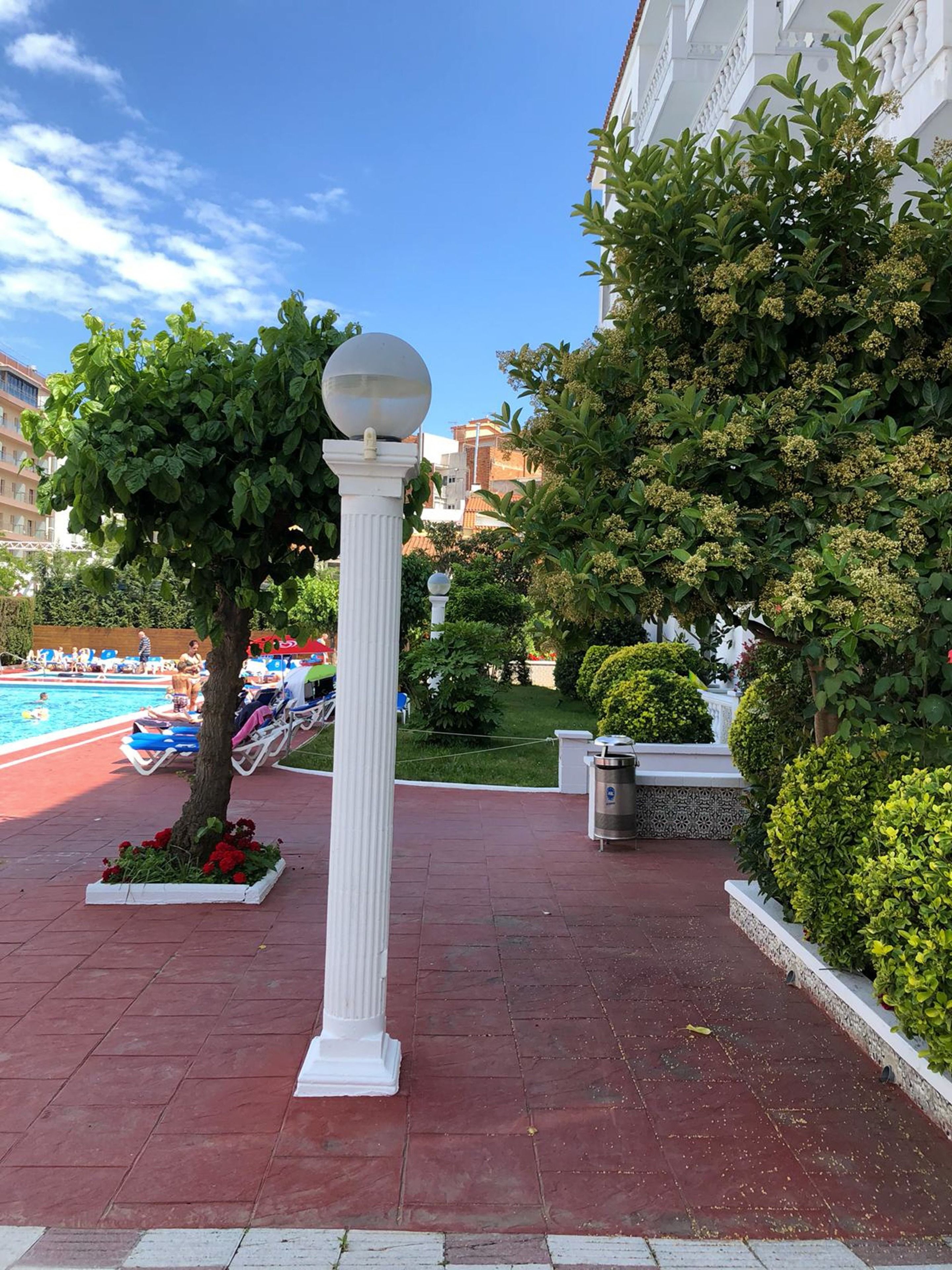 Zona junto a la piscina con un pilar blanco, un árbol y un jardín bien cuidado.