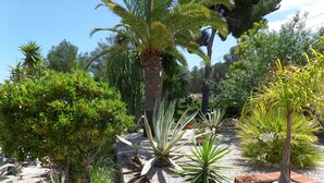 A garden with various plants, including palm trees and agave plants, surrounded by a gravel path and a mosaic-tiled area. - Villa Senomar (Benissa)