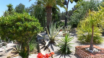 Jardin