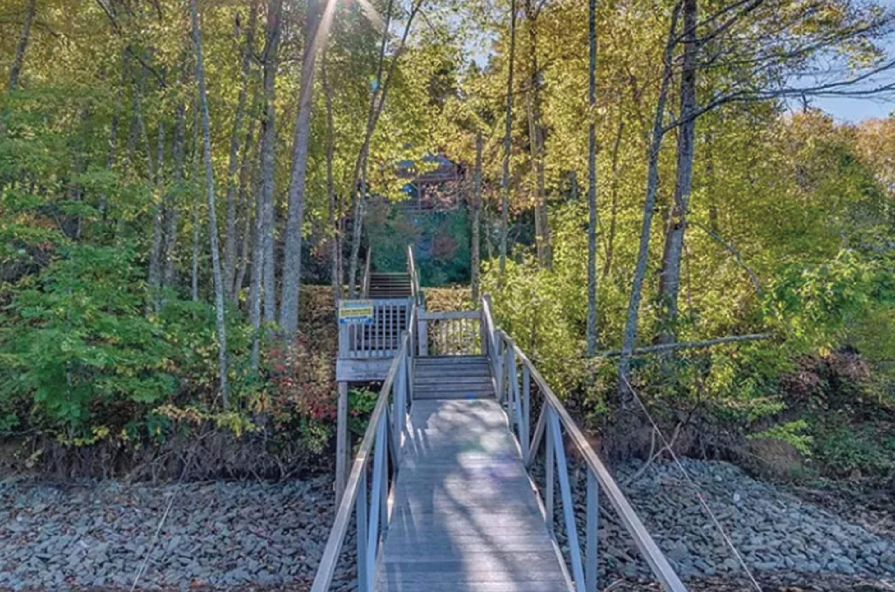 Un puente de madera que conduce a una plataforma de observación de madera rodeada de un bosque denso.