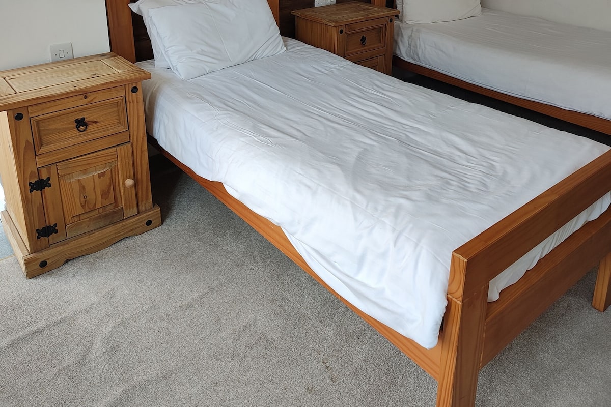 Economy Twin Room, Accessible, Annex Building | 1 bedroom, desk, free WiFi, bed sheets
