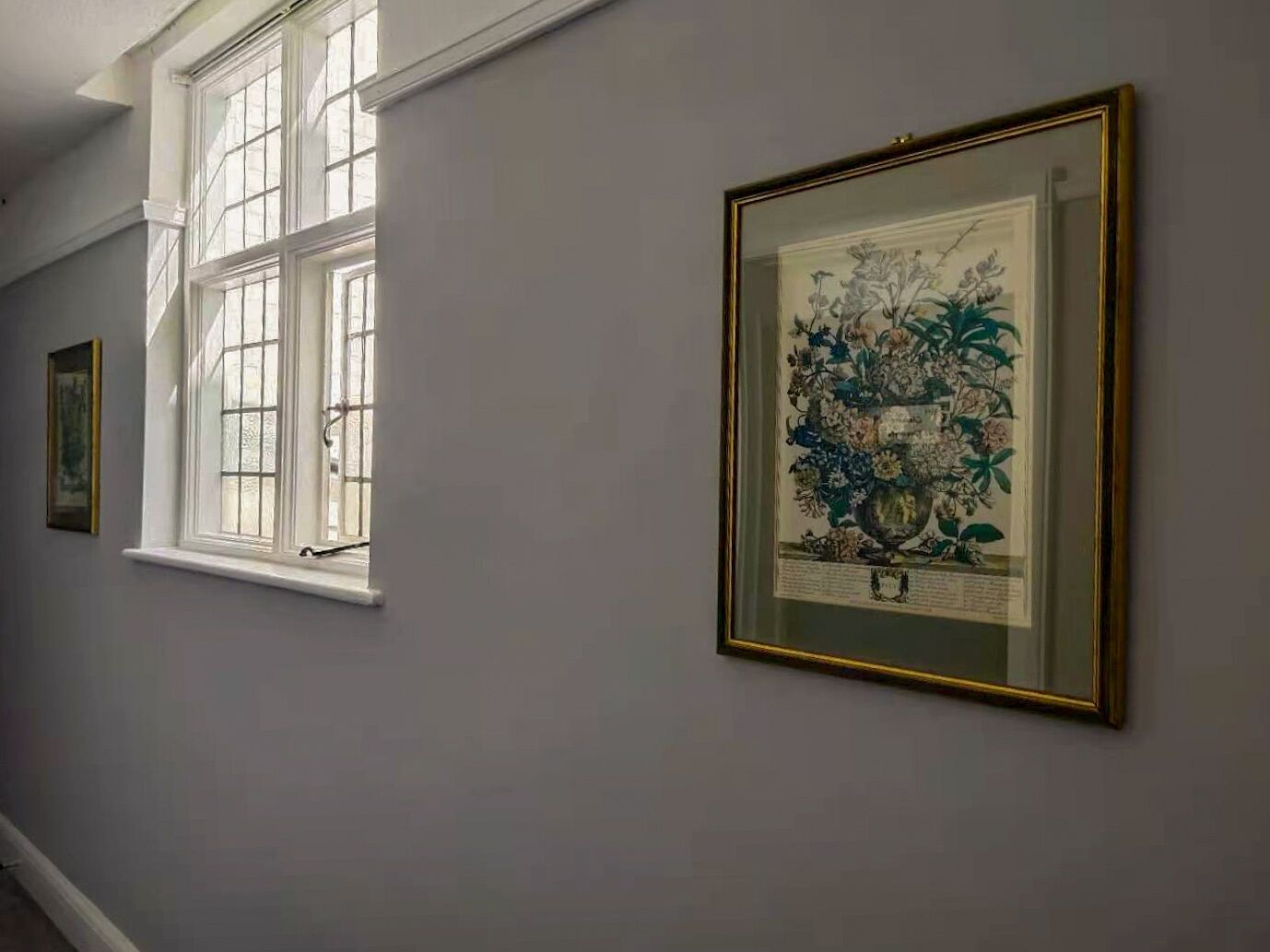 A hallway with framed botanical prints on the wall and a window with white shutters.