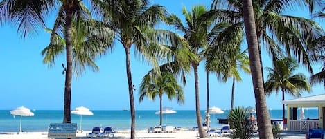 Plage à proximité