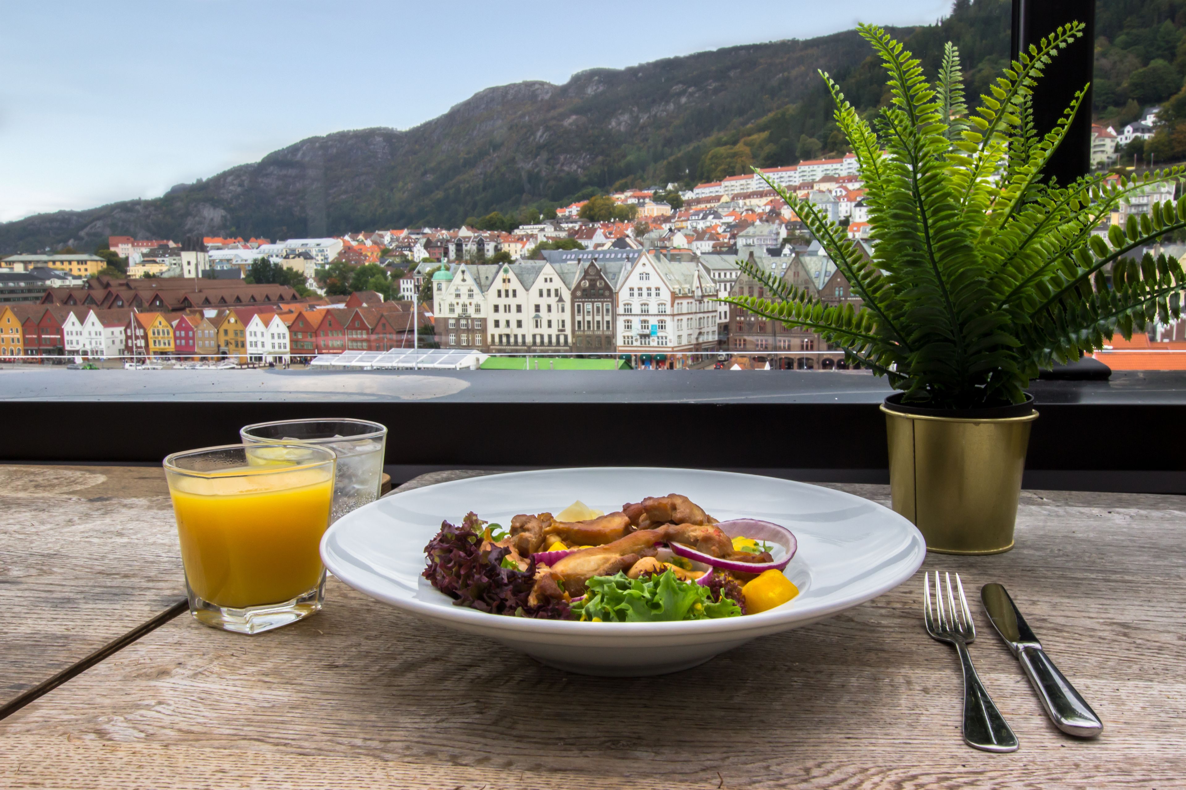 A table with a plate of food, a glass of orange juice, a potted fern, and cutlery.