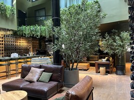 Bar en el lobby
