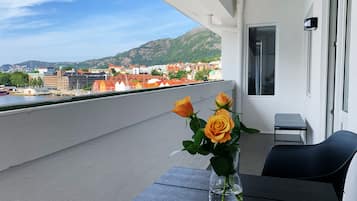 2 habitaciones, decoración personalizada y muebles diferentes