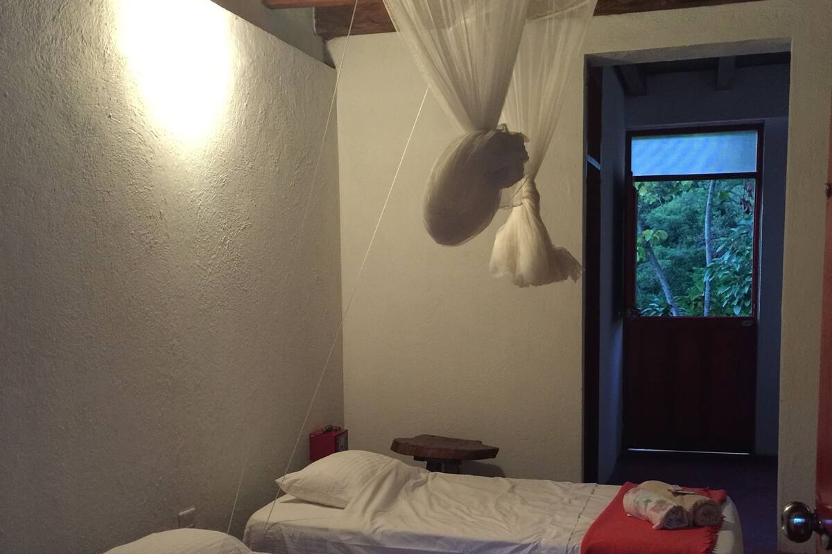 A room with two beds, a mosquito net, a small table, and a window with a view of greenery.