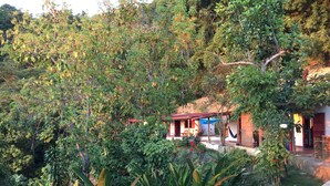 A rustic house surrounded by dense foliage and tropical plants. - Finca Cafetera San Rafael (Santa Marta)