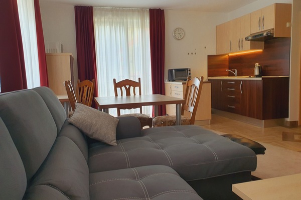 55-inch flat-screen TV with cable channels, TV