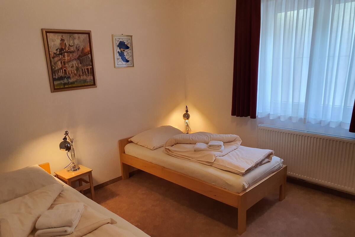 Twin Room, 1 Bedroom | 1 bedroom, desk, laptop workspace, soundproofing