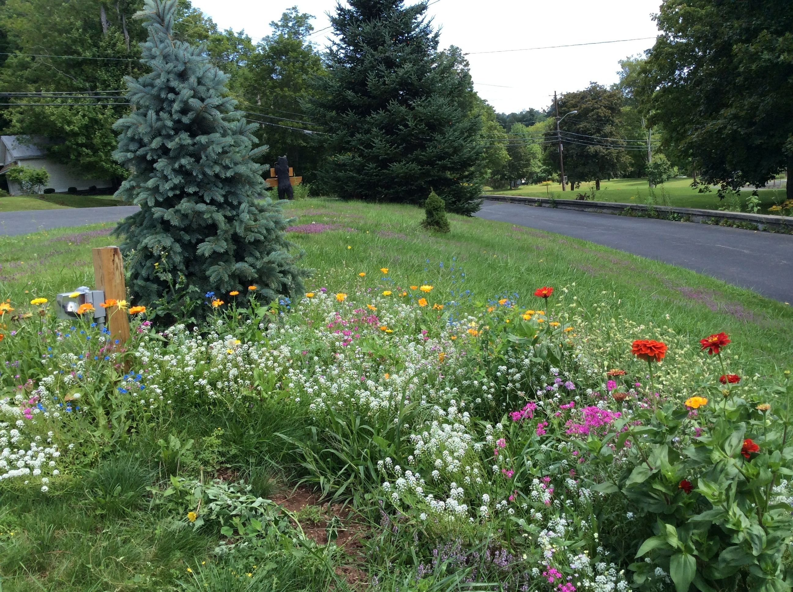 A garden with various flowers and a wooden structure.