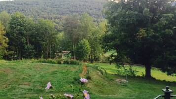 Tempat makan outdoor