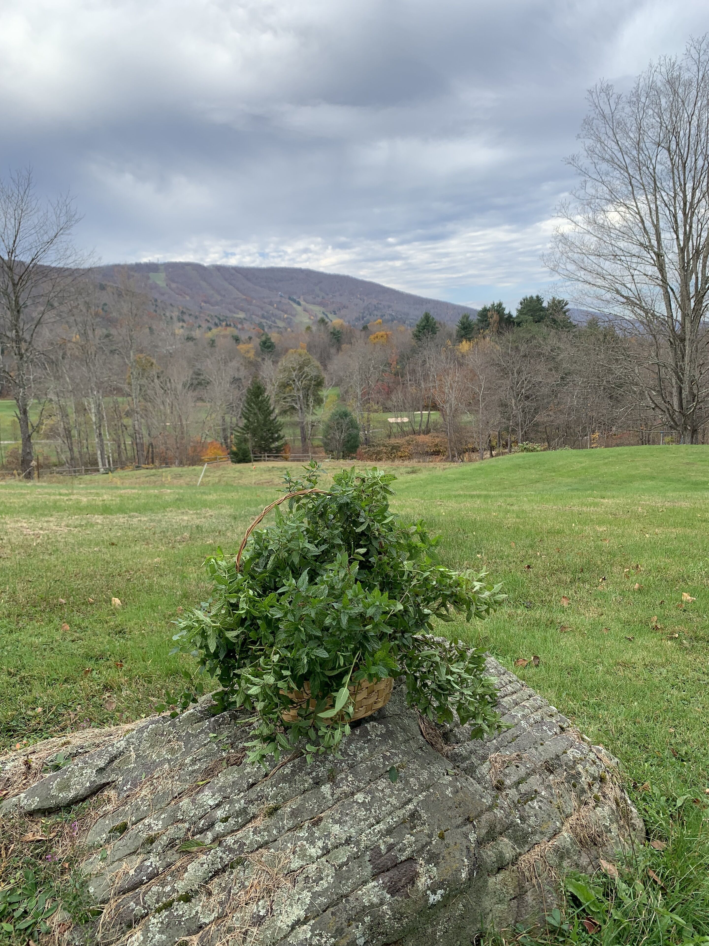 Tủ lạnh, lò vi sóng, lò nướng bánh mì, nồi cơm 