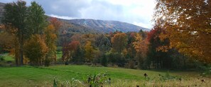Windham Mountain and River View - 5 | 1 bedroom, iron/ironing board, free WiFi, bed sheets
