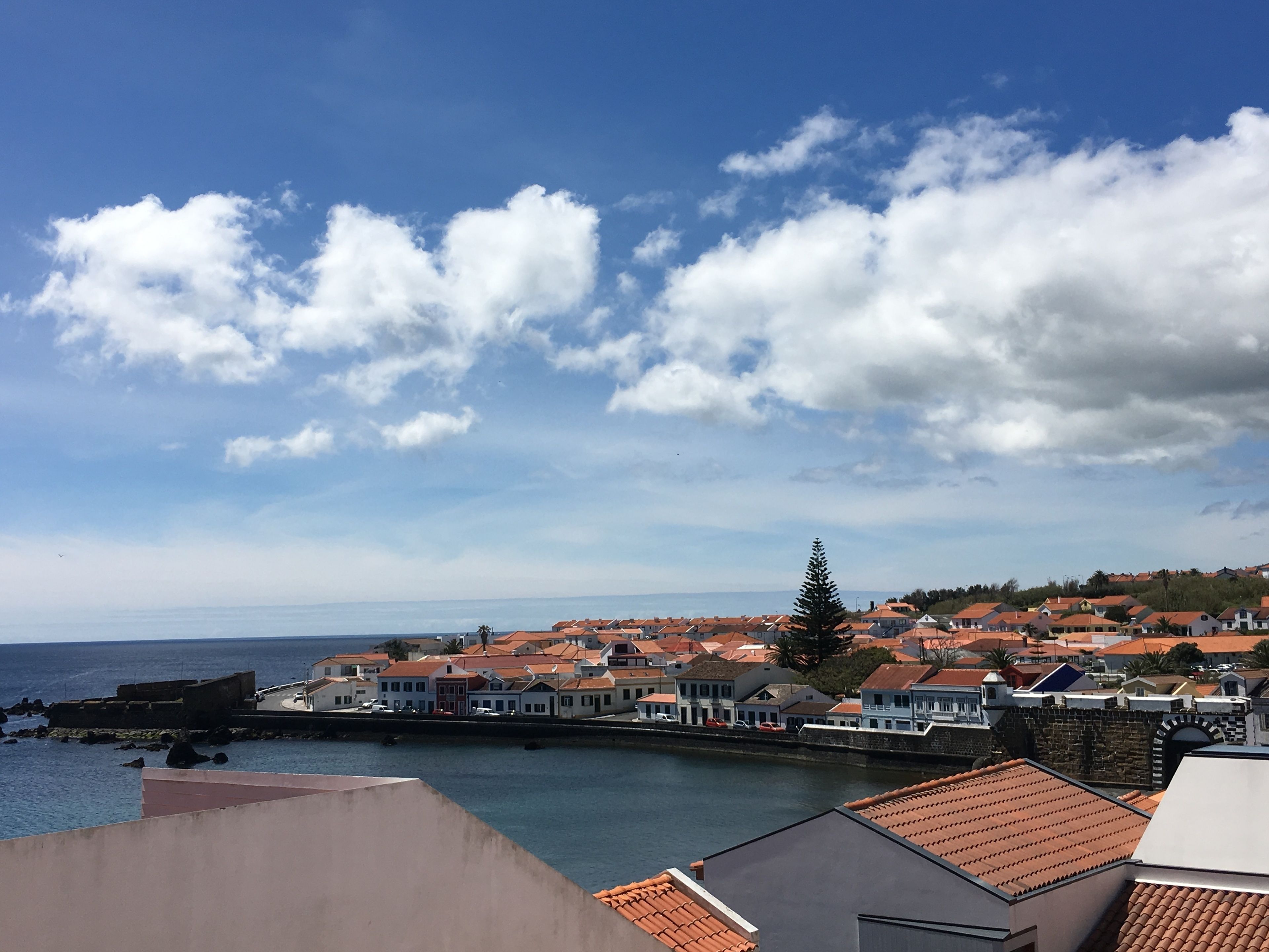 A coastal town with buildings along the waterfront, a clear sky, and a prominent tree.