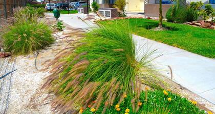 Apartamentos Alma Socoroma