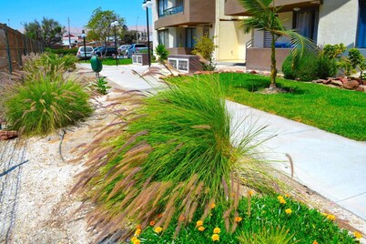 Apartamentos Alma Socoroma