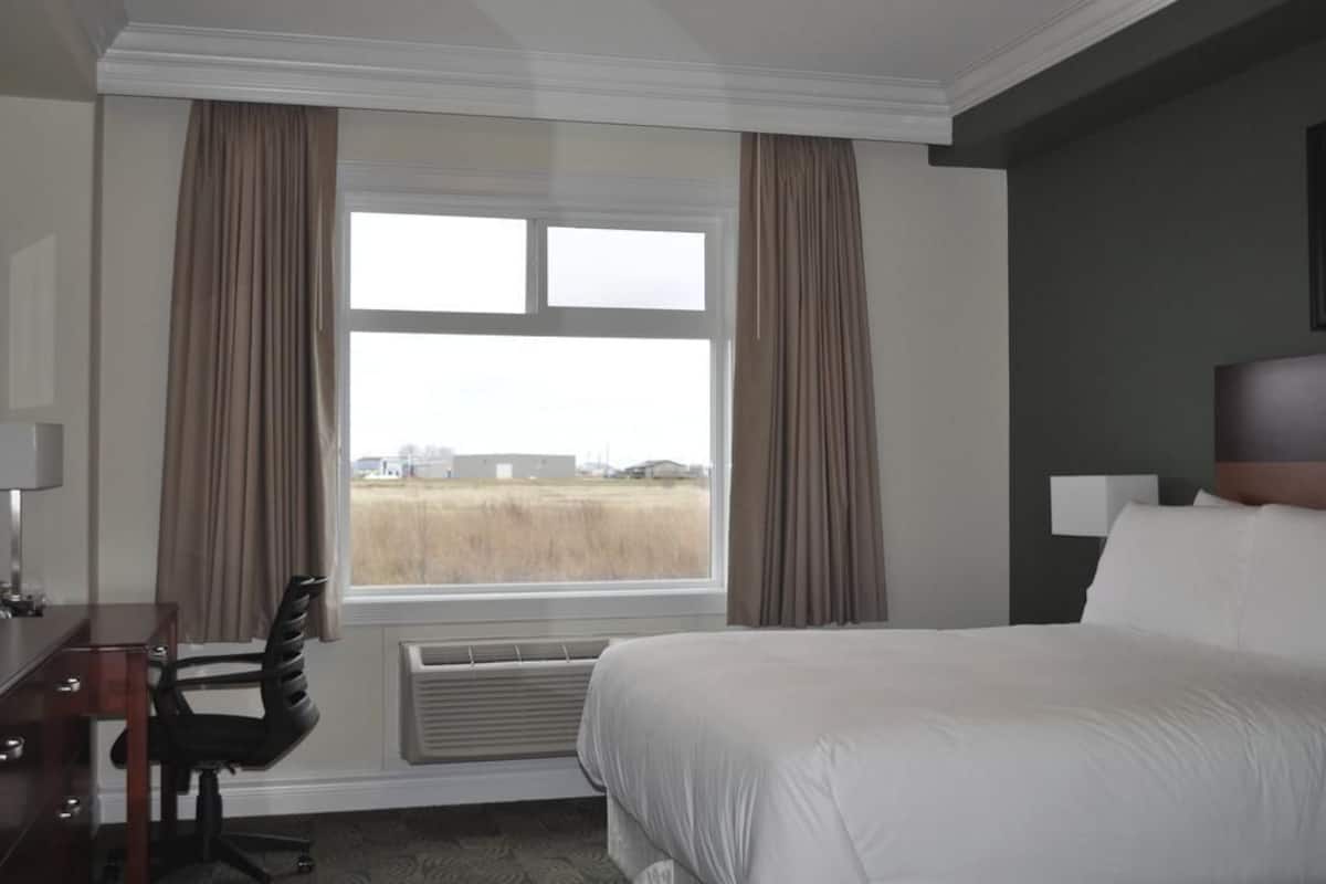 standard room, 1 queen bed | blackout curtains, iron/ironing board, rollaway beds, free wifi