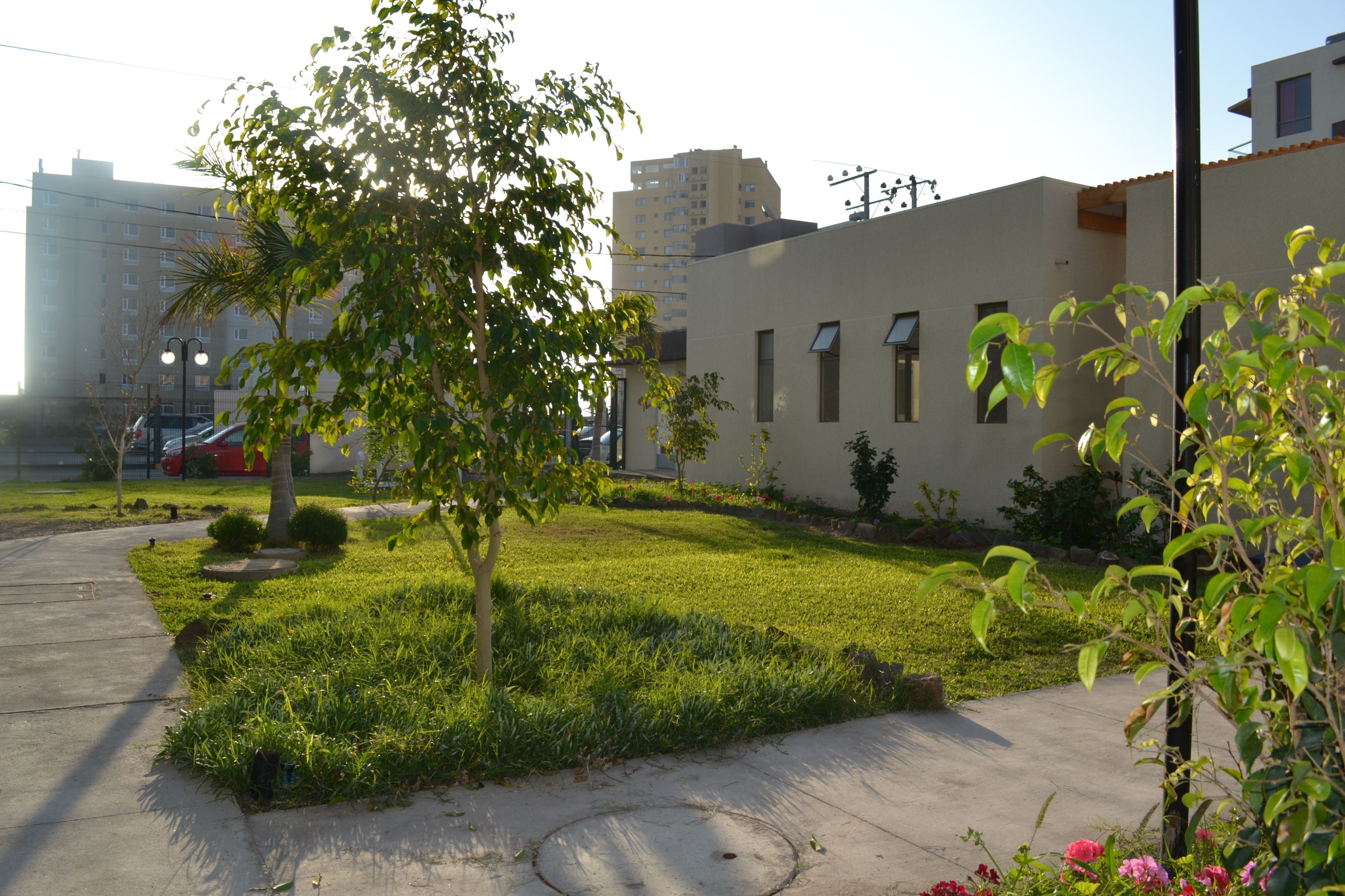 A residential area with a grassy lawn, a sidewalk, and a building with multiple windows and a flat roof.