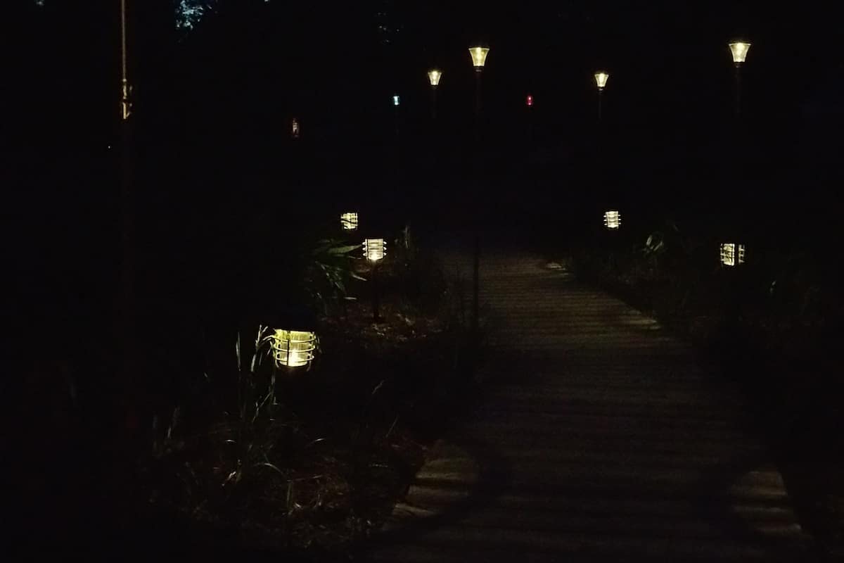 A nighttime pathway with street lamps and a tall, narrow structure emitting a purple light.