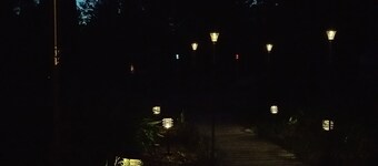 Shire In The Woods
