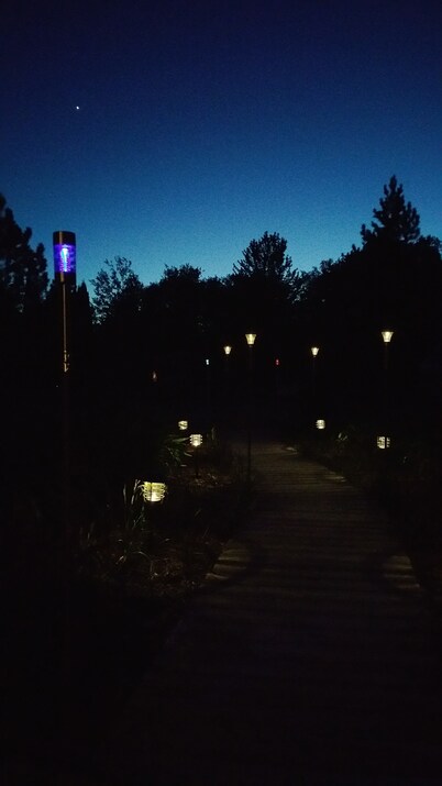 Shire In The Woods