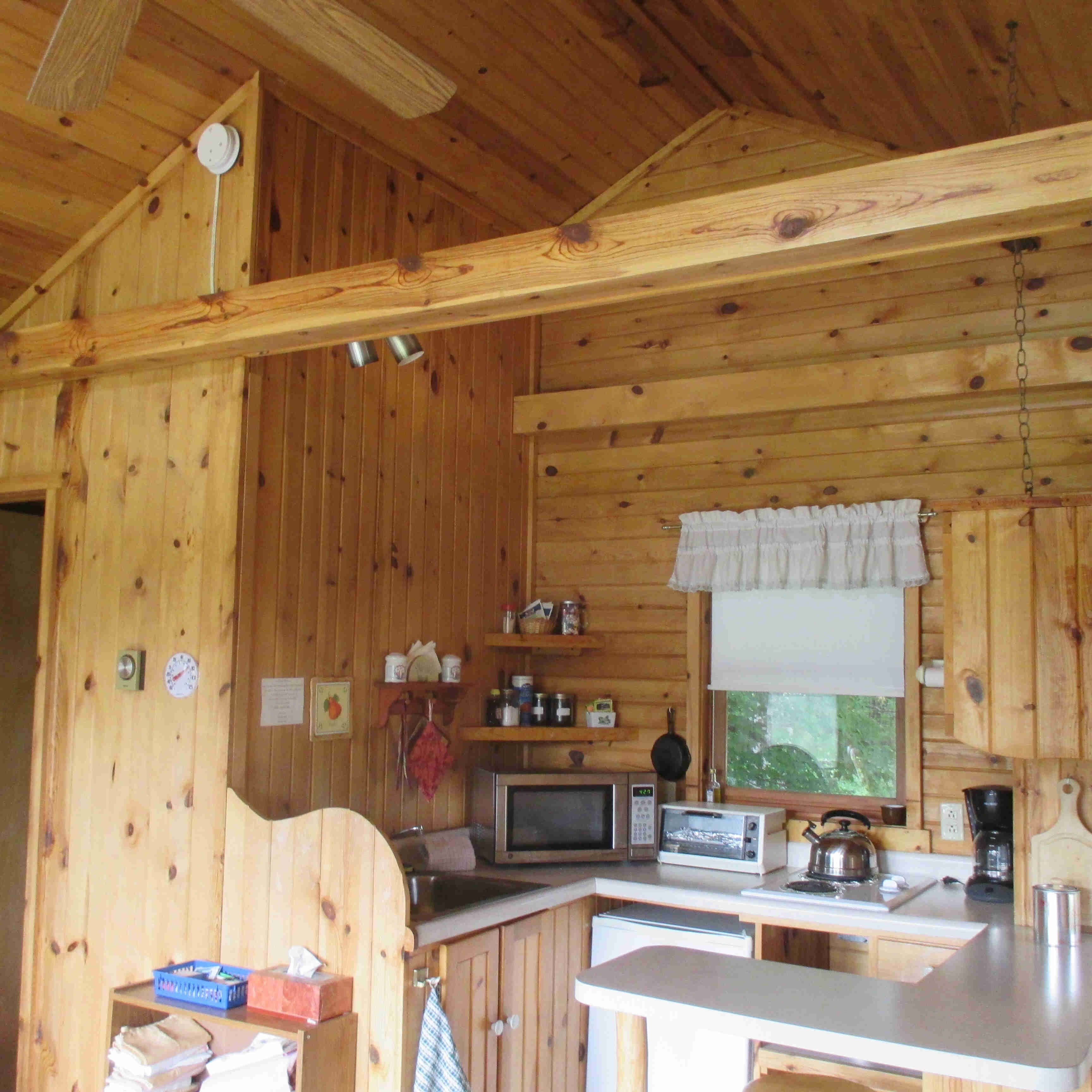 A wooden cabin interior with a kitchen area featuring a microwave, stove, and sink.