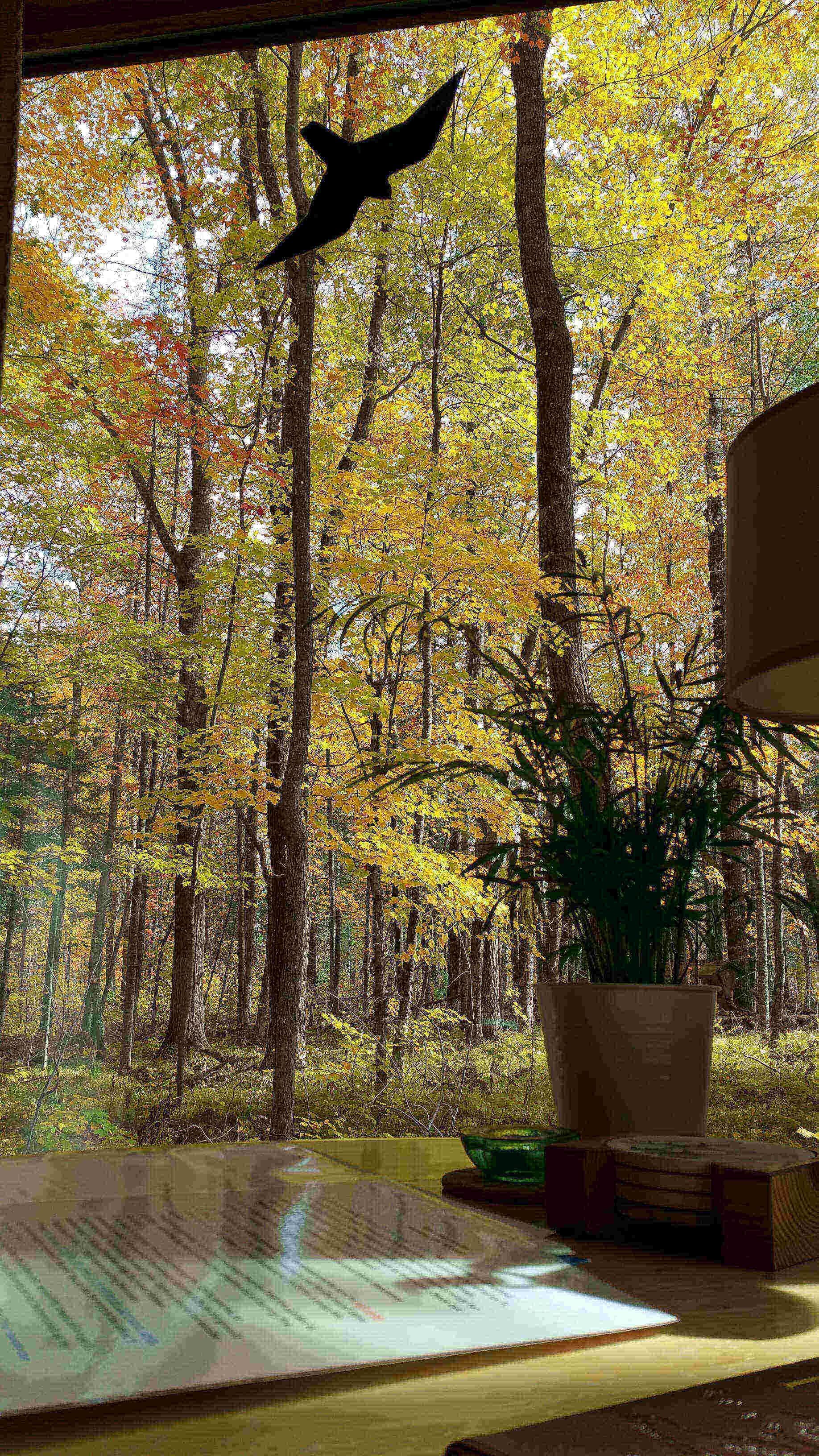 Cabin, 1 Queen Bed | Individually decorated, individually furnished, desk, free WiFi