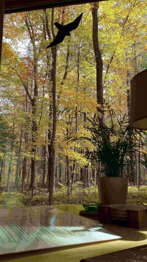 Cabin, 1 Queen Bed | Individually decorated, individually furnished, desk, free WiFi