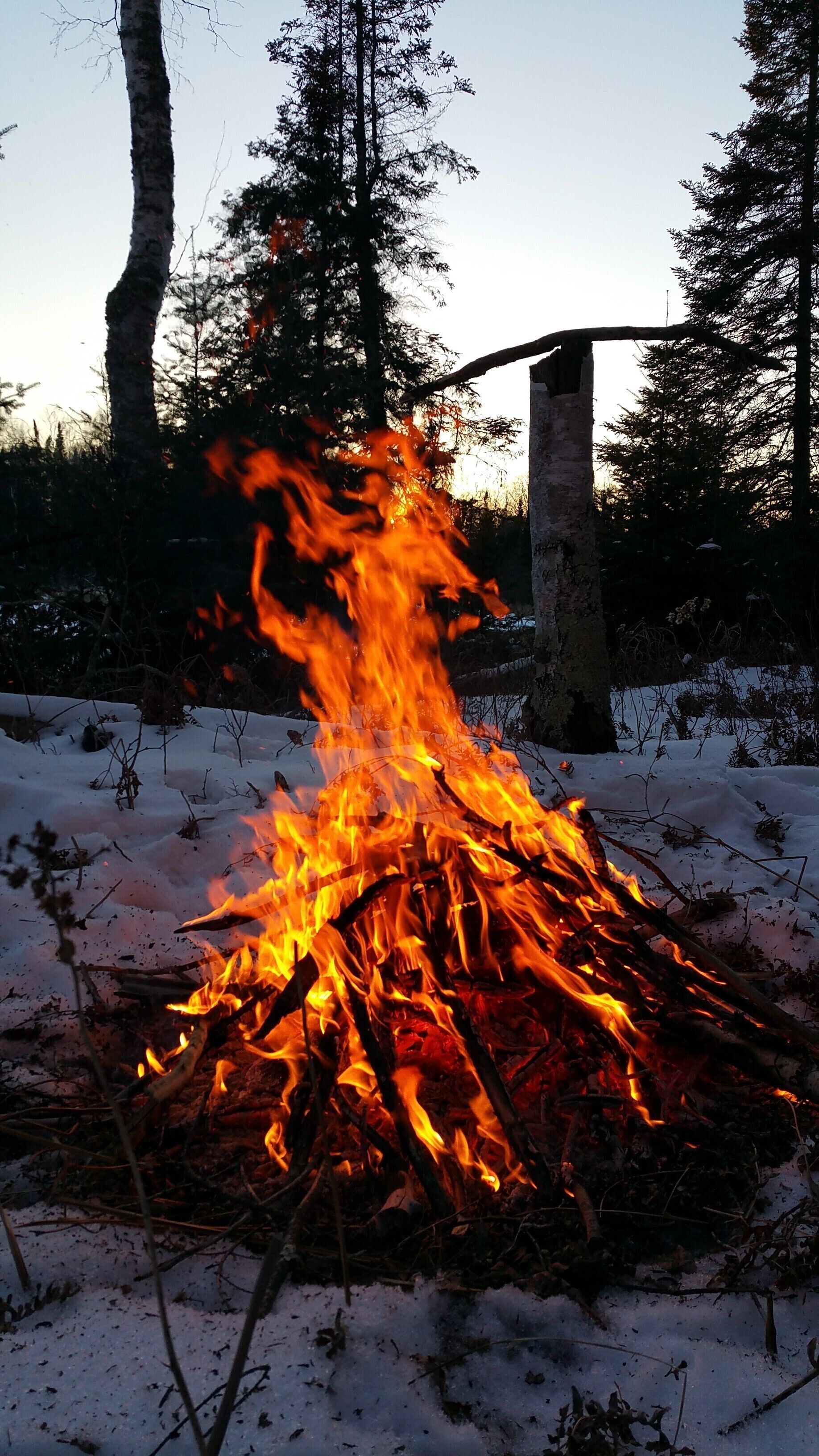 A campfire in a snowy outdoor setting with trees in the background.