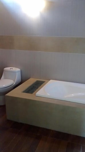 Combined shower/bathtub, free toiletries, hair dryer, towels