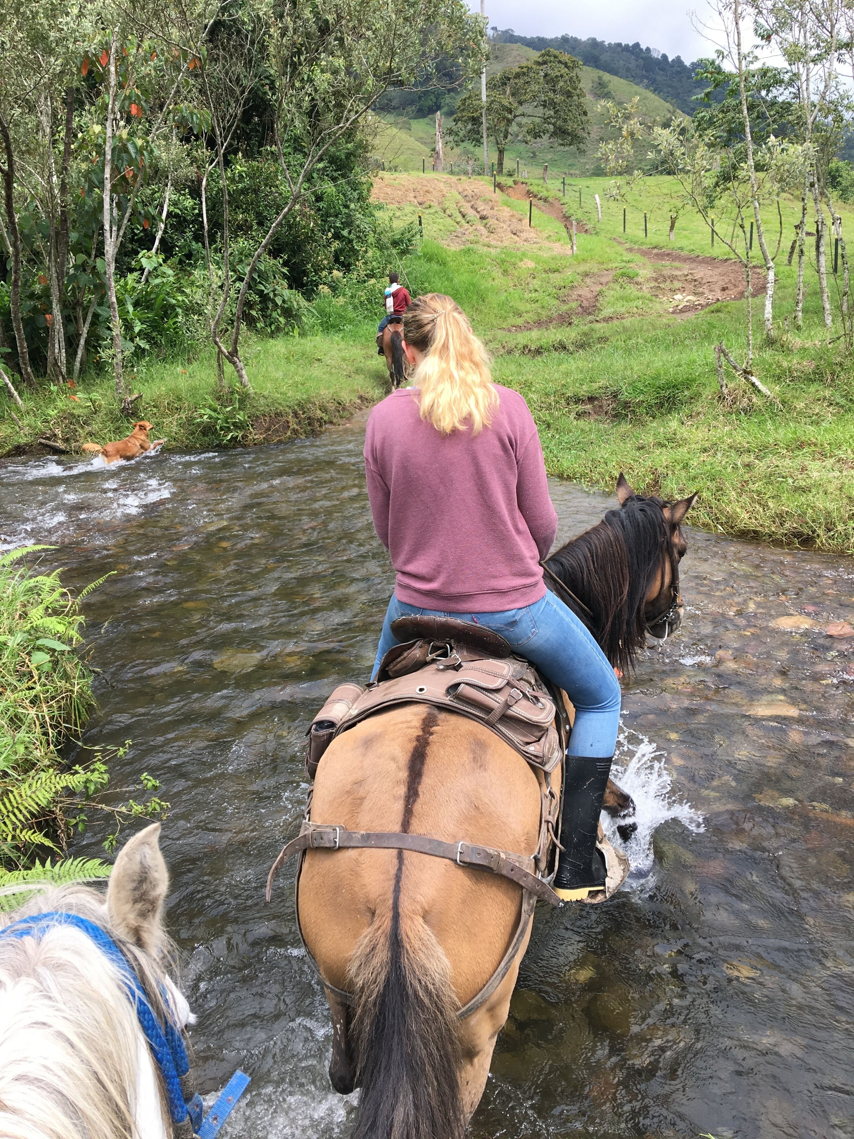 horse riding